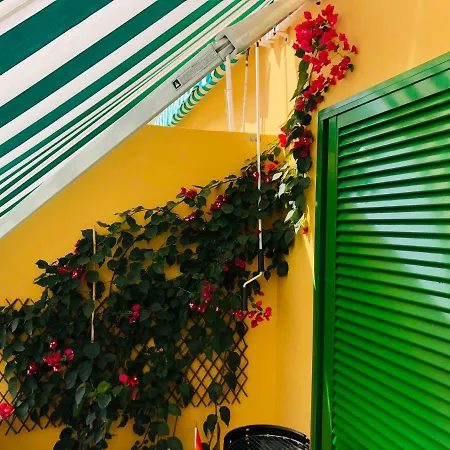 Bouganvilla شقة *